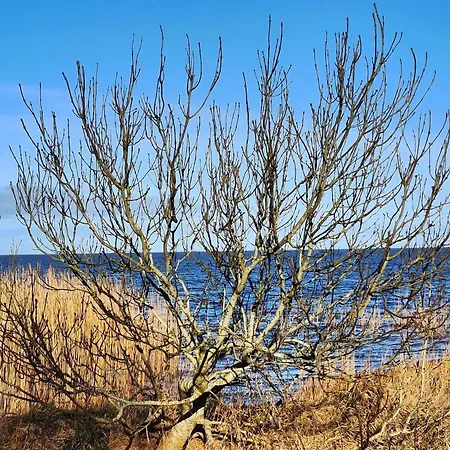 8 Person In Σπίτι διακοπών *